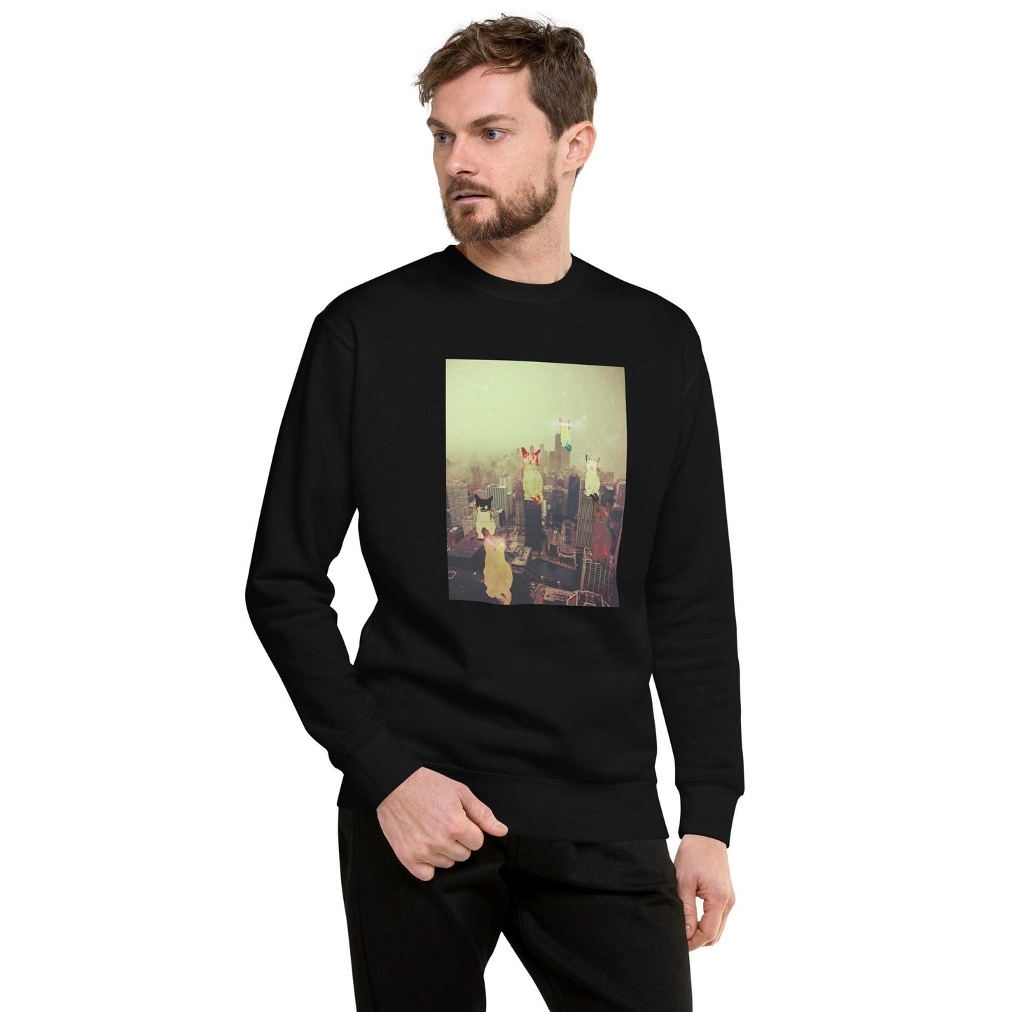 Unisex City Cats Sweatshirt - Psychedelic Purr