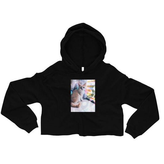 Women's Windowsill Kitty Crop Hoodie - Psychedelic Purr